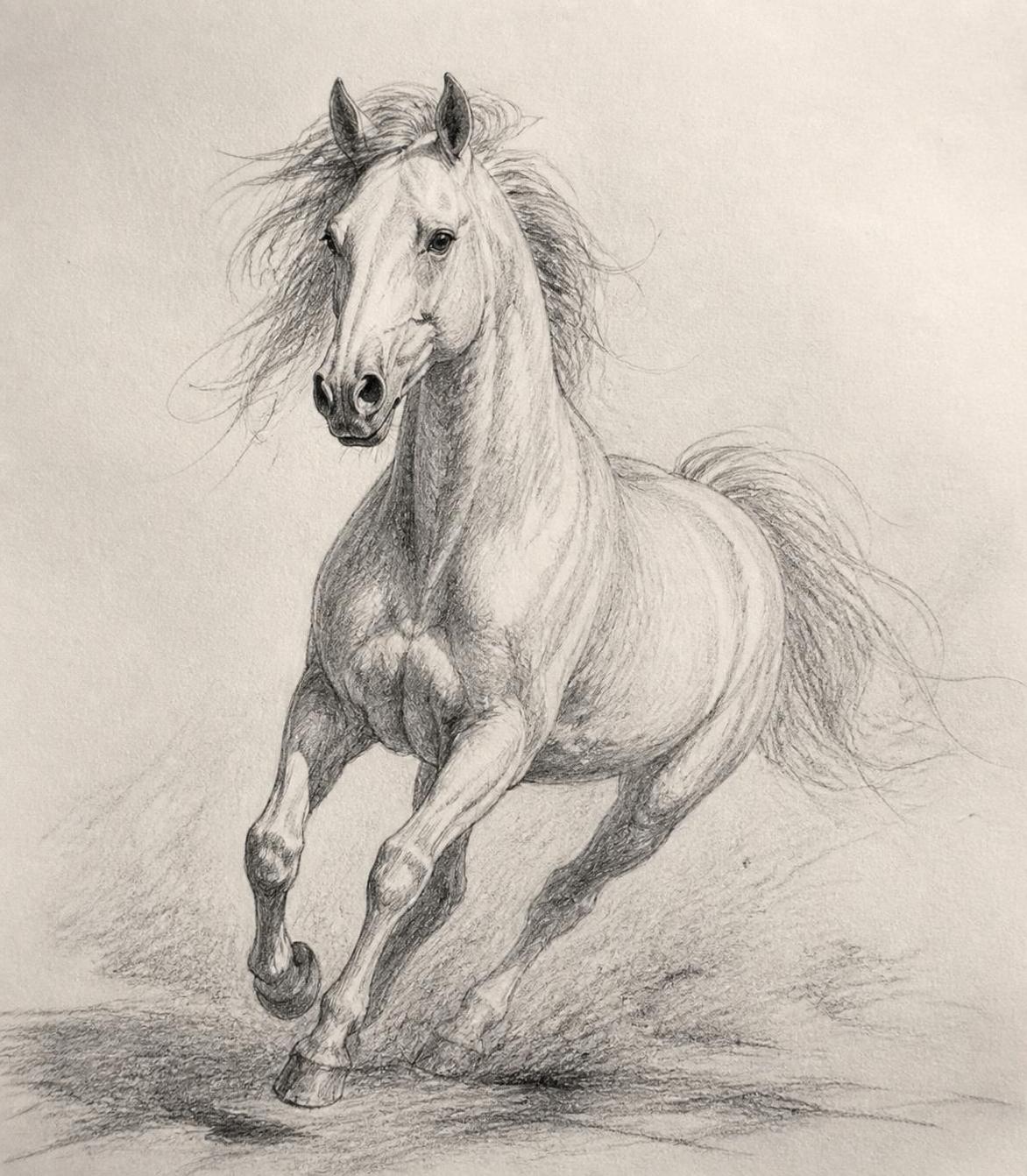 découvrez comment apprendre à dessiner un animal avec des astuces simples pour obtenir un trait naturel et vivant, et donnez vie à vos créations artistiques.