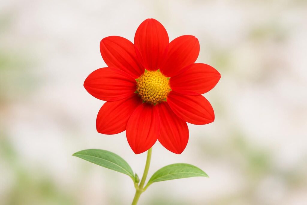 apprenez à dessiner une fleur facile grâce à notre guide simple, idéal pour les débutants et les enfants. suivez des étapes claires pour créer de jolis dessins floraux en un rien de temps.